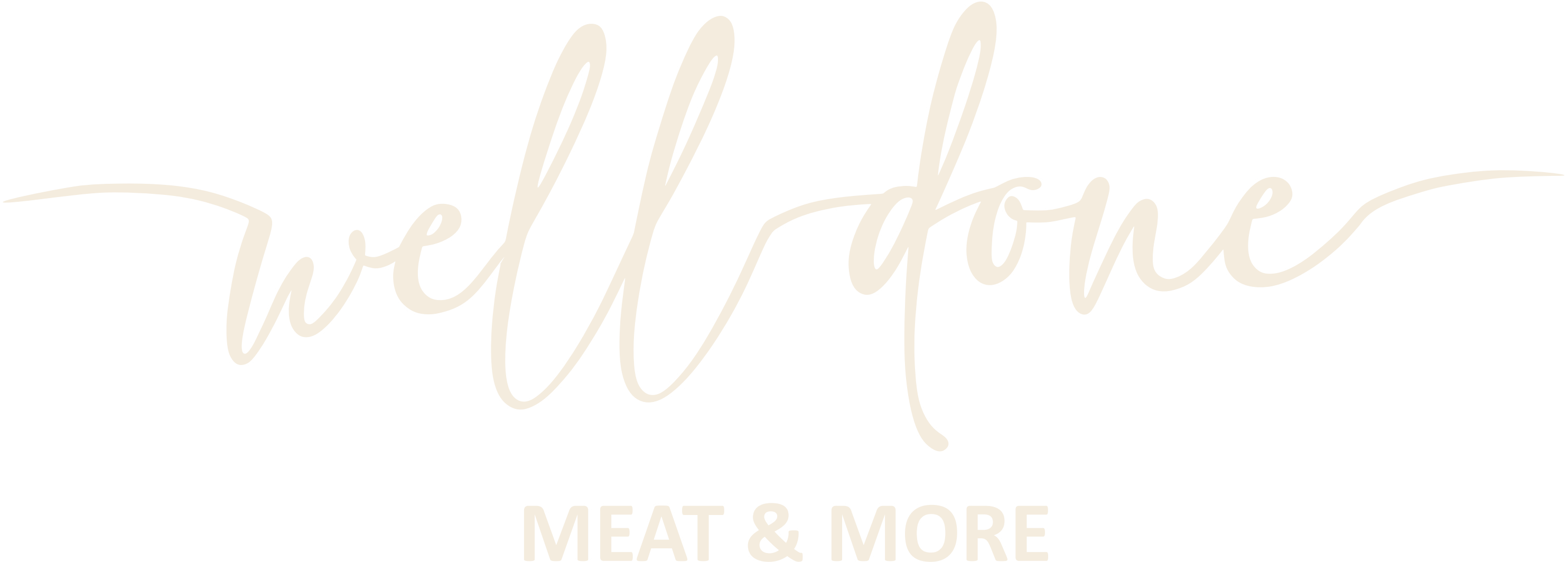 Well Done Meat & More logo